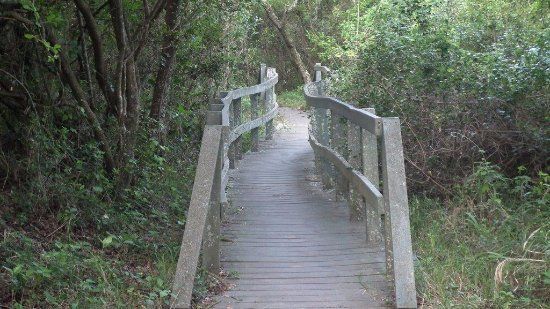 Nahoon Estuary Nature Reserve